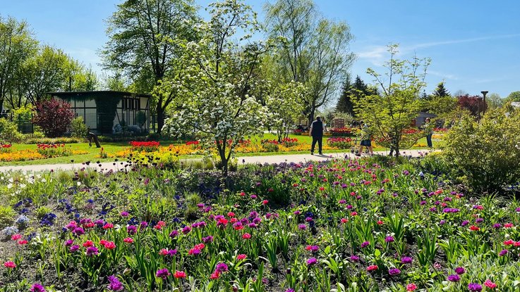 Das Bild zeigt Blumen und Pflanzen mit einem Spazierweg.