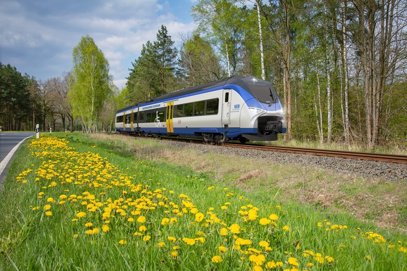 Fotosimulation vom Zug Mireo Plus B mit Landschaft im Hintergrund