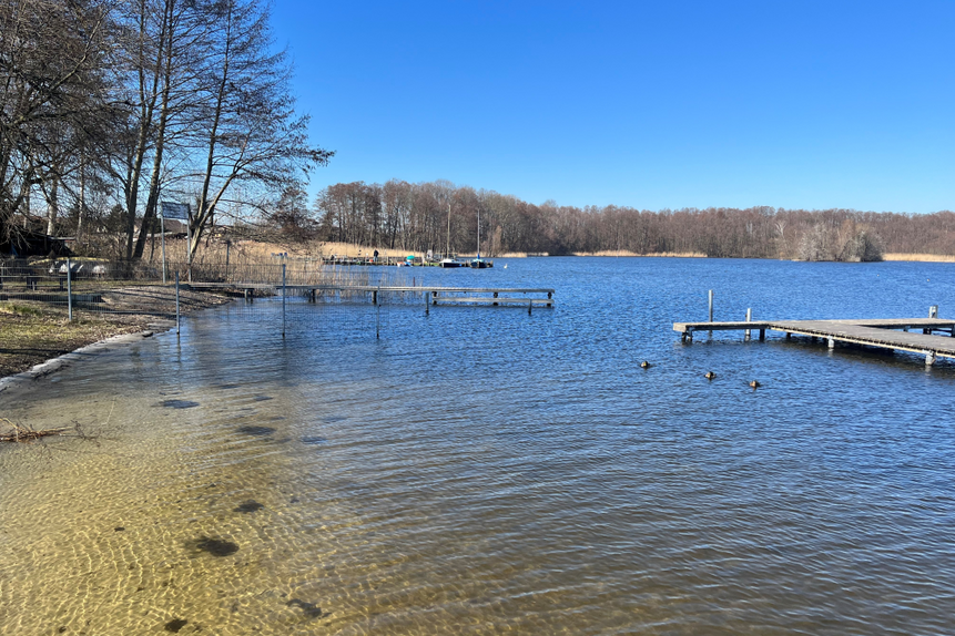 Das Foto zeigt klares Wasser am Ufer des Motzener Sees.