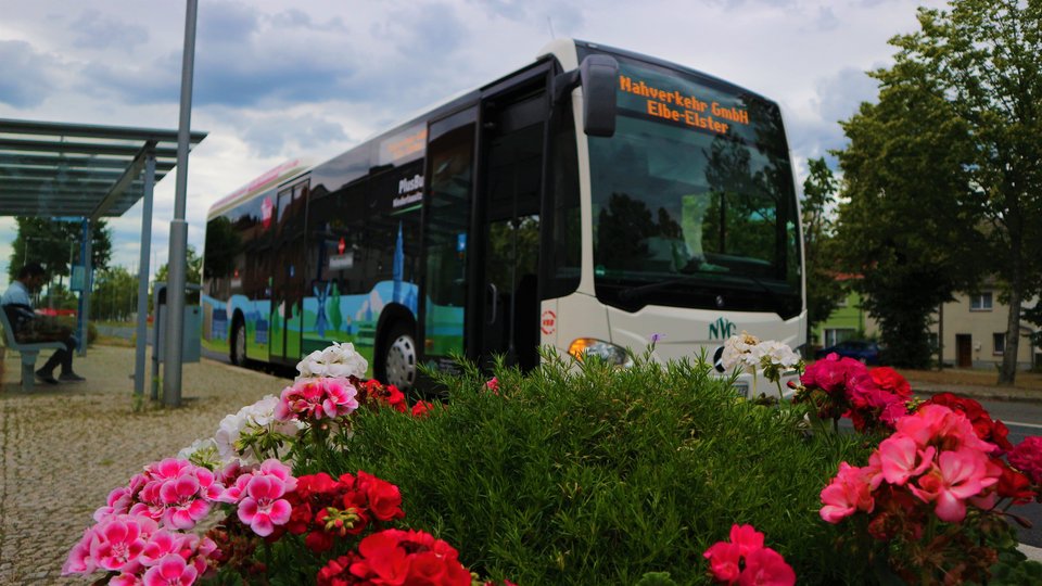PlusBus 560 "Elbe-Elster" stehend an einer Haltestelle hinter einem Topf Blumen