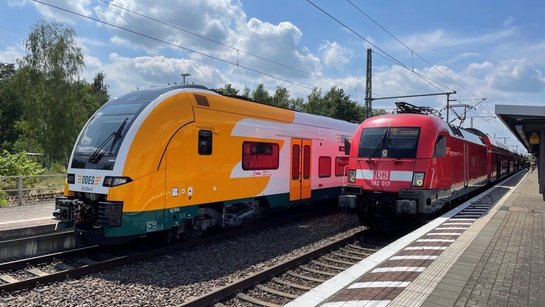 Ein Zug der ODEG neben einem Zug der DB