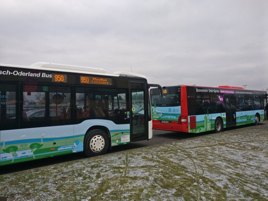 Bild zeigt zwei beklebte Busse
