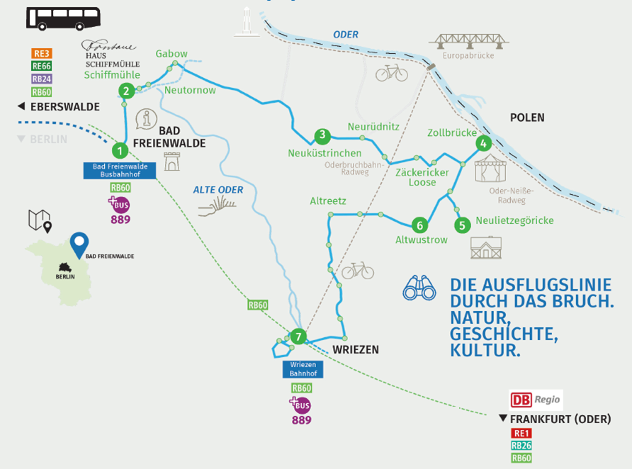 Die Grafik zeigt skizzenhaft den Linienverlauf des Oderbusses.